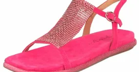 Alma en Pena V23393 Suede Fuxia